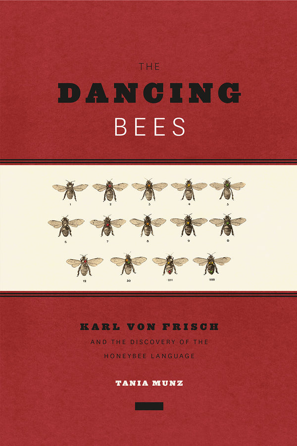 The Dancing Bees