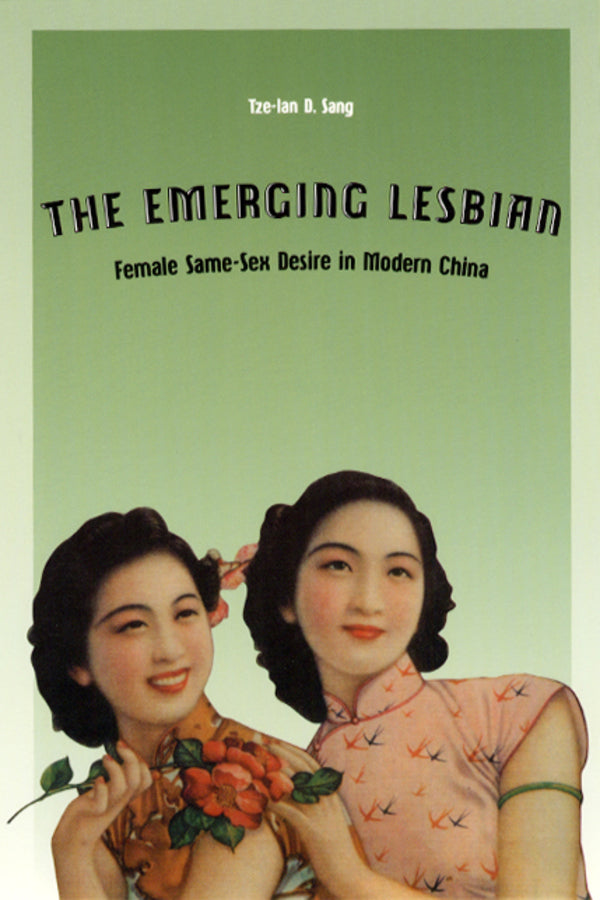 Worlds of Desire: The Chicago Series on Sexuality, Gender, and Culture cover