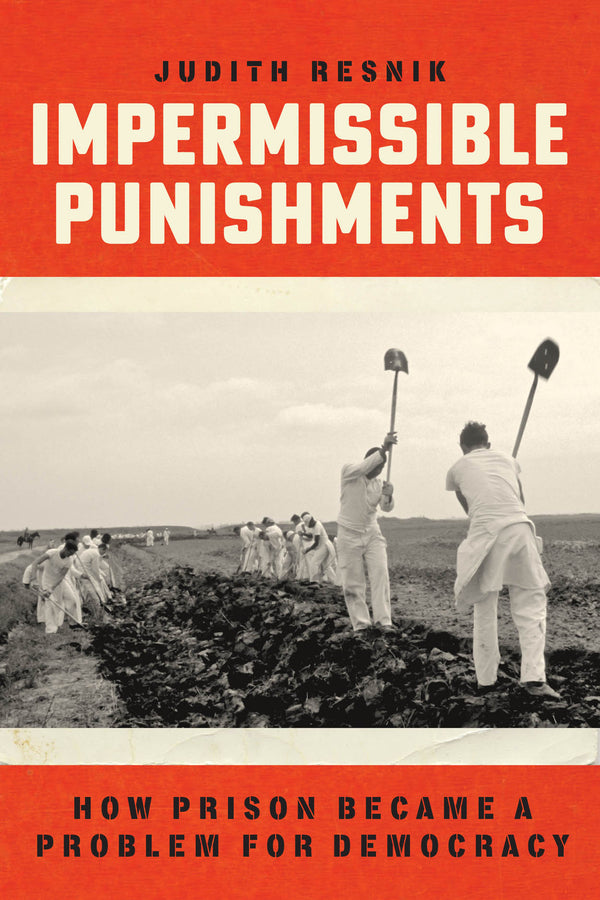 Impermissible Punishments: How Prison Became a Problem for Democracy cover