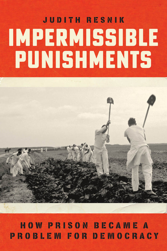 Impermissible Punishments: How Prison Became a Problem for Democracy cover