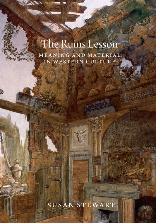 The Ruins Lesson: Meaning and Material in Western Culture cover