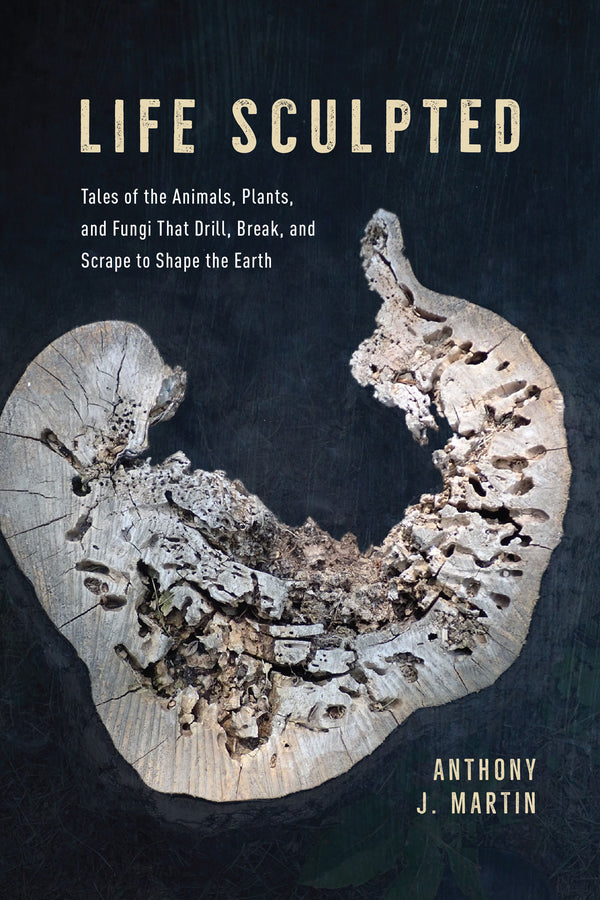 Life Sculpted: Tales of the Animals, Plants, and Fungi That Drill, Break, and Scrape to Shape the Earth cover