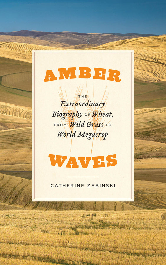 Amber Waves: The Extraordinary Biography of Wheat, from Wild Grass to World Megacrop cover