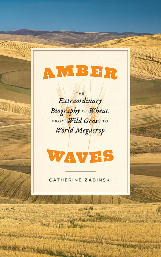 Amber Waves: The Extraordinary Biography of Wheat, from Wild Grass to World Megacrop cover