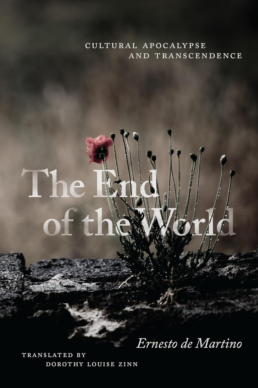 The End of the World: Cultural Apocalypse and Transcendence cover