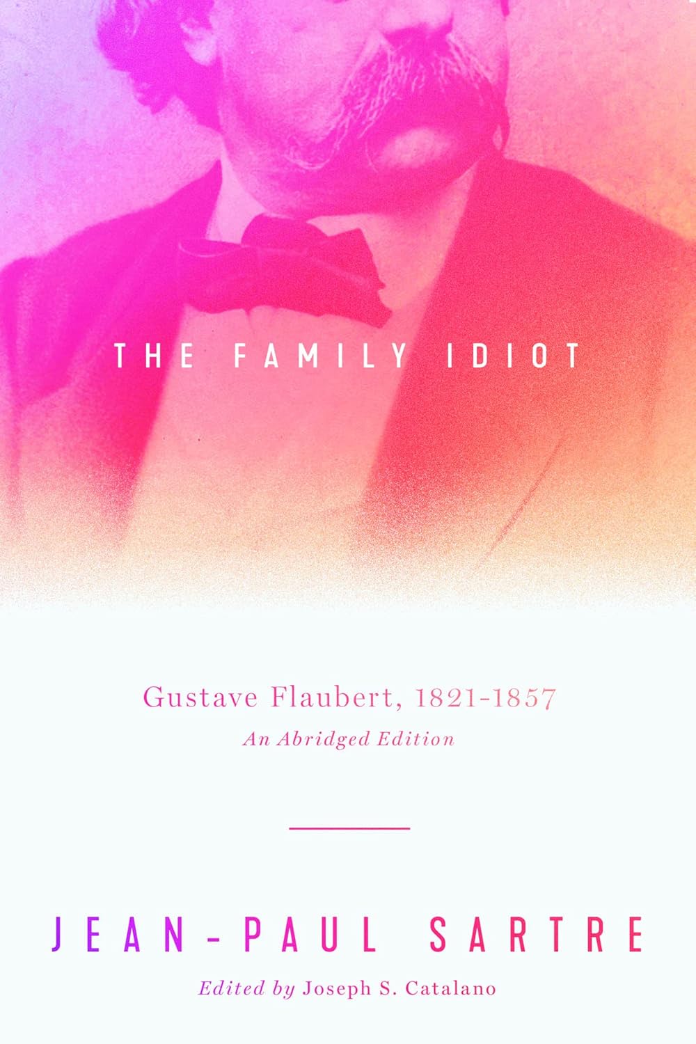 The Family Idiot: Gustave Flaubert, 18211857, An Abridged Edition cover