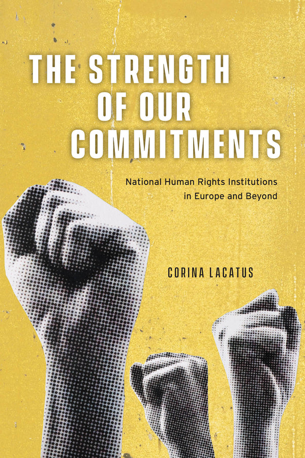 Chicago Series on International and Domestic Institutions cover