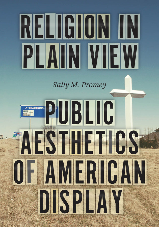Religion in Plain View: Public Aesthetics of American Display cover