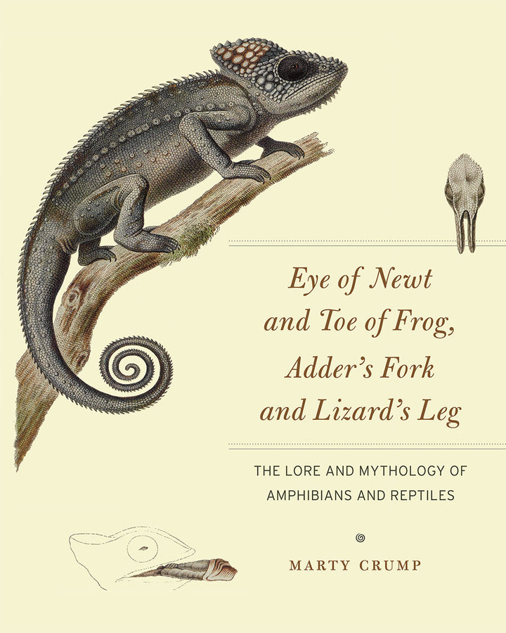 Eye of Newt and Toe of Frog, Adder's Fork and Lizard's Leg: The Lore and Mythology of Amphibians and Reptiles cover