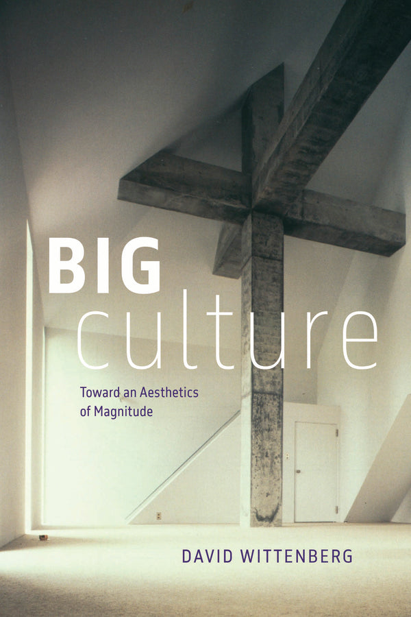 Big Culture: Toward an Aesthetics of Magnitude cover