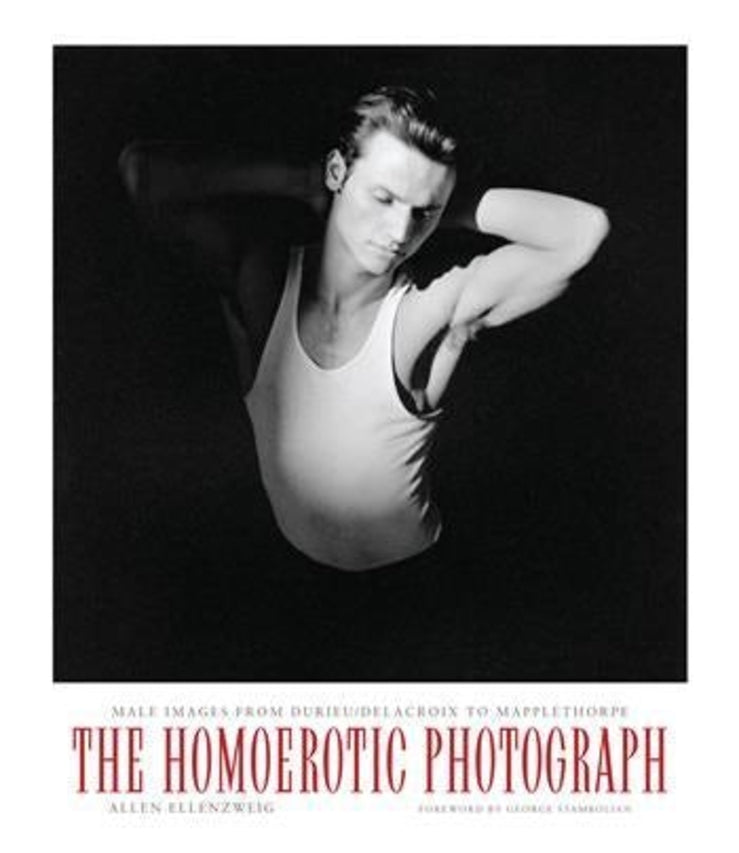 Between Men-Between Women: Lesbian and Gay Studies cover