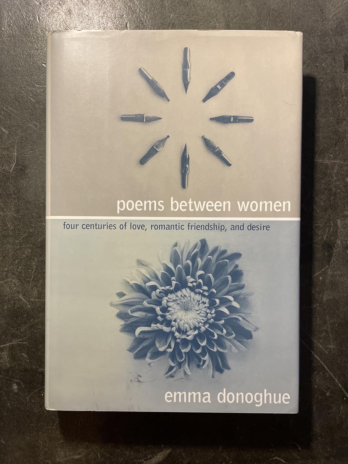 Between Men-Between Women: Lesbian and Gay Studies cover