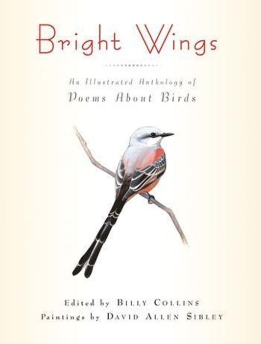 Bright Wings