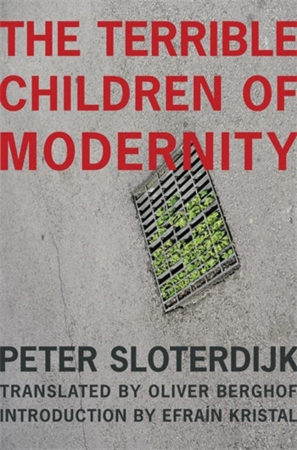 The Wellek Library Lectures cover