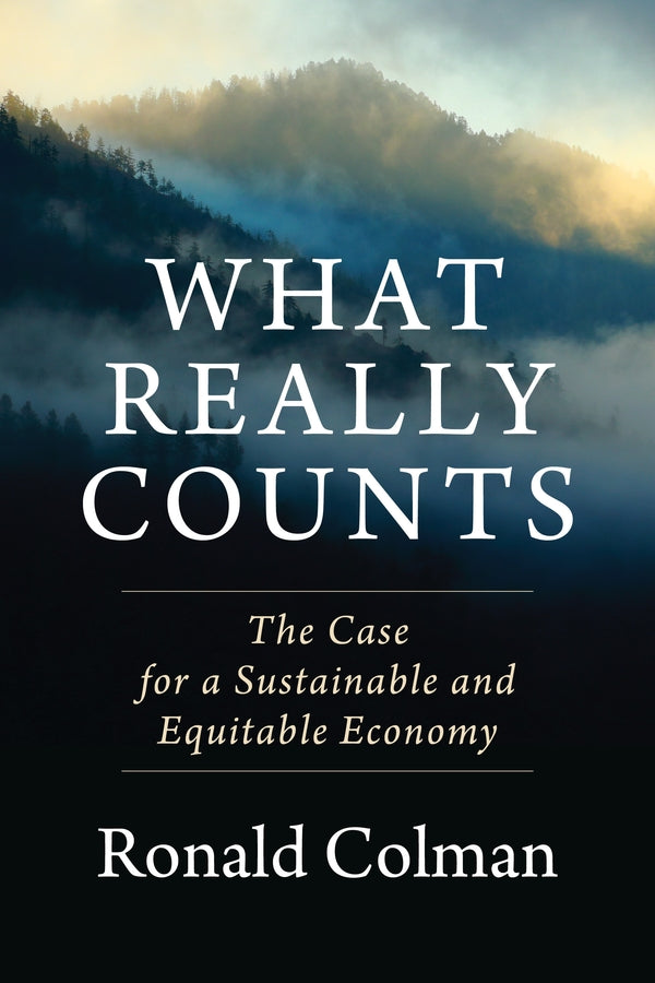What Really Counts: The Case for a Sustainable and Equitable Economy cover
