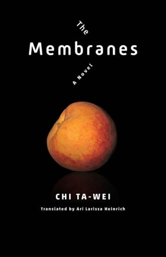 Modern Chinese Literature from Taiwan cover