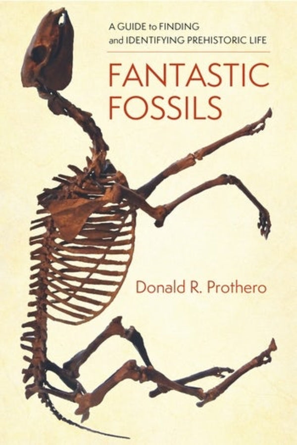 Fantastic Fossils: A Guide to Finding and Identifying Prehistoric Life cover