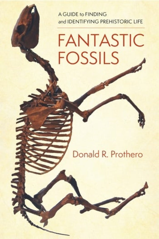 Fantastic Fossils: A Guide to Finding and Identifying Prehistoric Life cover