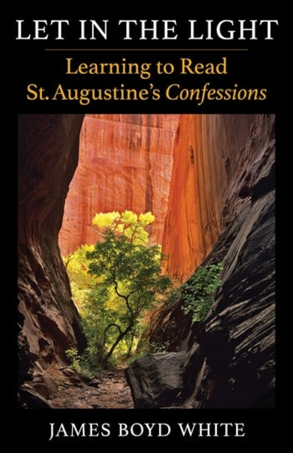 Let in the Light: Learning to Read St. Augustine's Confessions cover