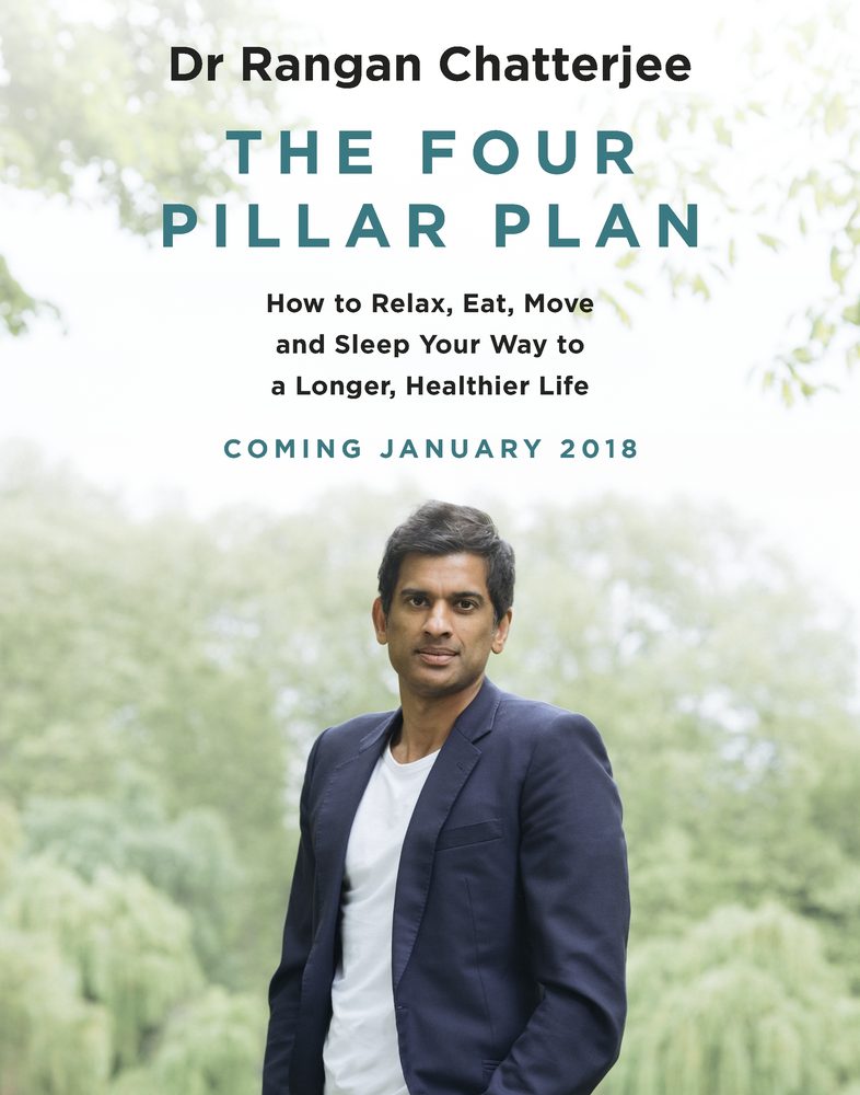 The 4 Pillar Plan book cover
