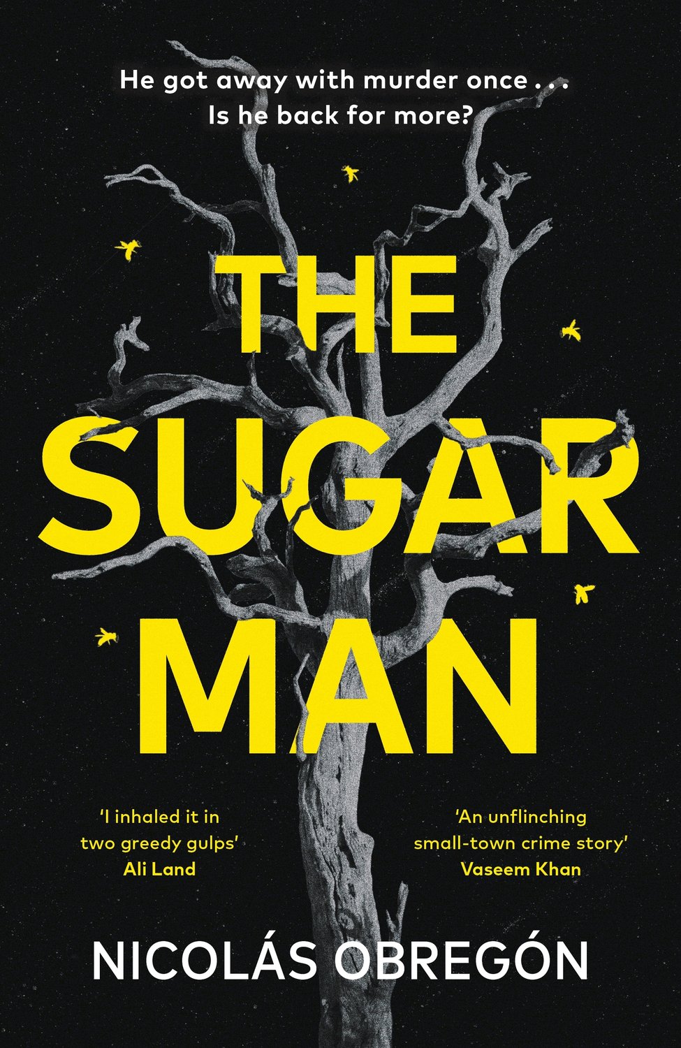 The Sugar Man
