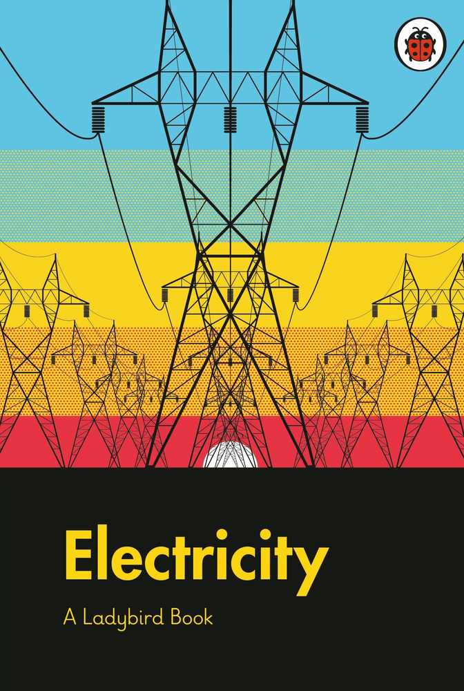 A Ladybird Book: Electricity book cover