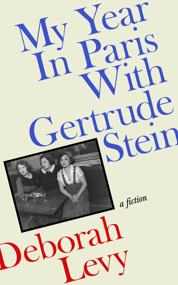My Year in Paris with Gertrude Stein book cover