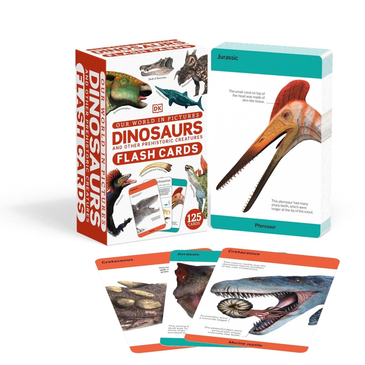 Our World in Pictures Dinosaurs and Other Prehistoric Creatures Flash Cards