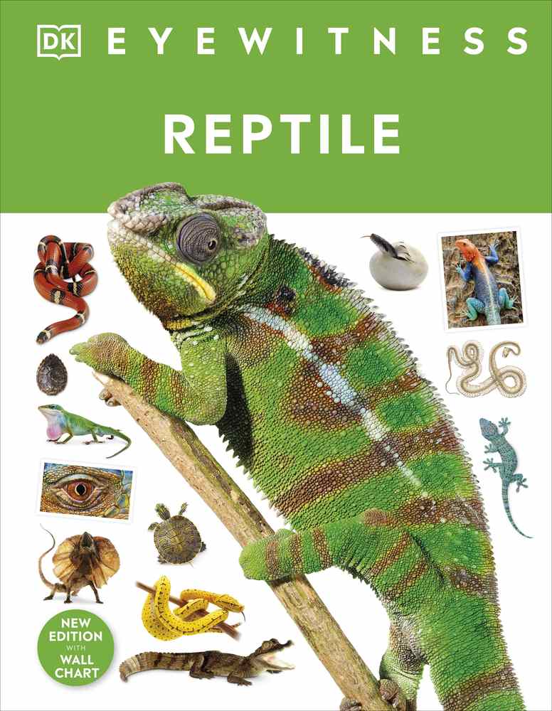 Reptile book cover