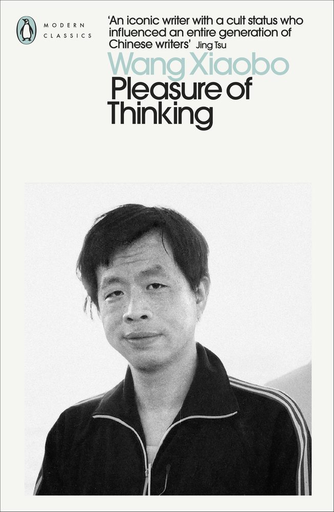 Pleasure of Thinking book cover