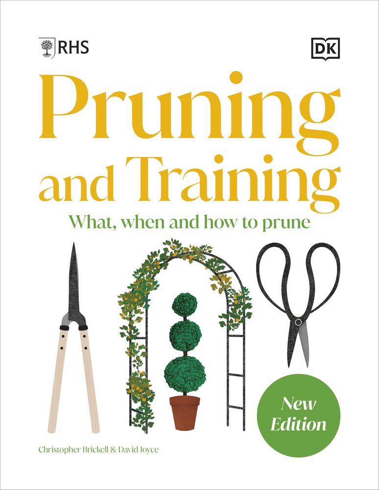 RHS Pruning and Training book cover