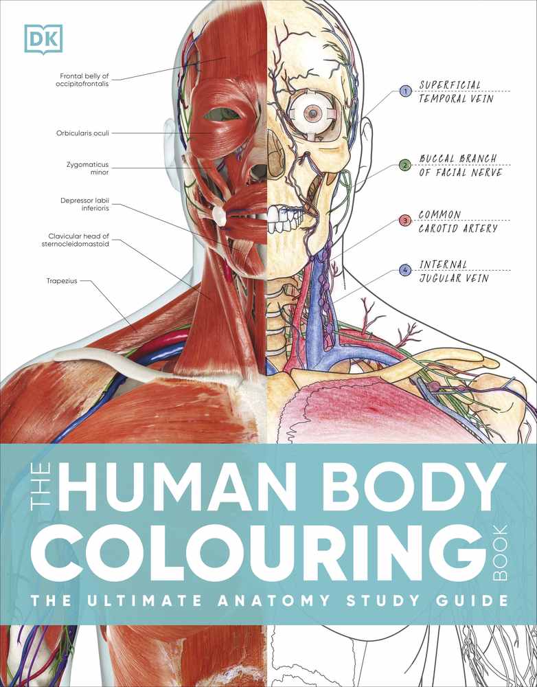 The Human Body Colouring Book book cover