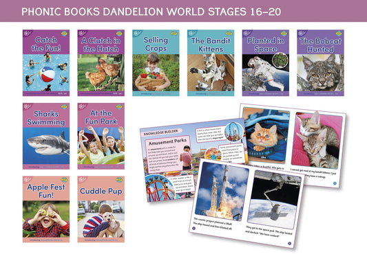 Dandelion World 16-20