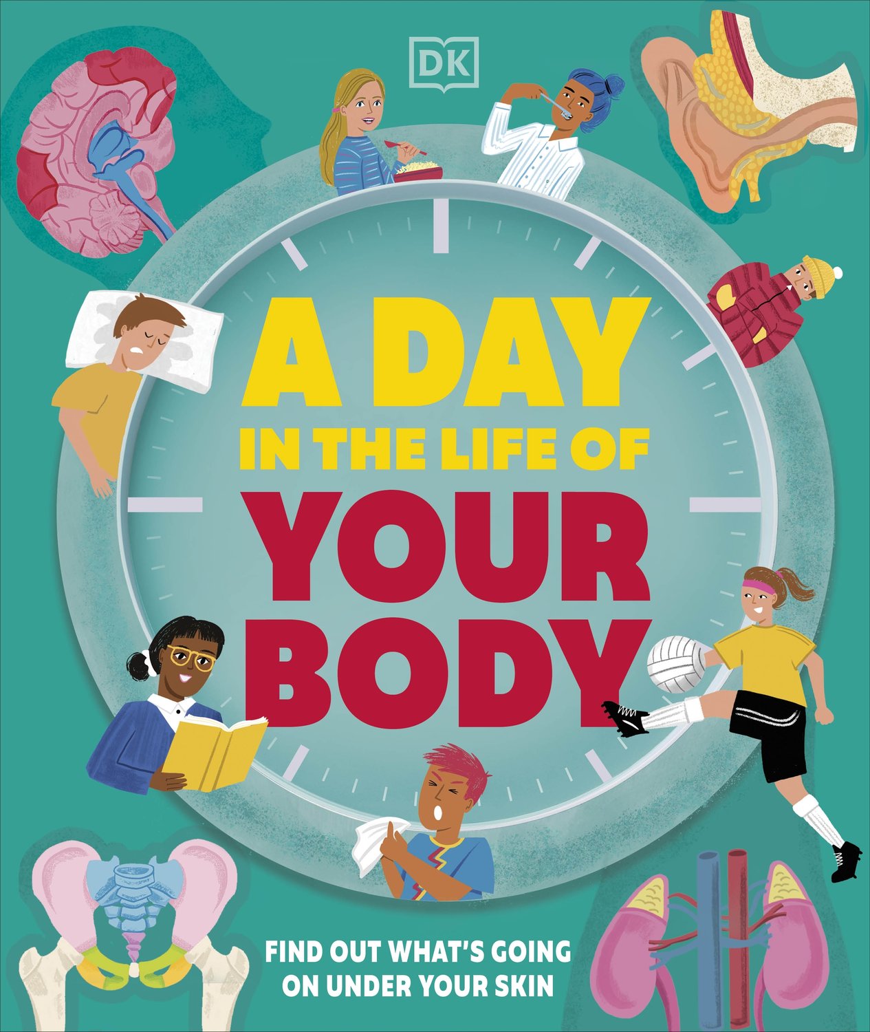 A Day in the Life of Your Body