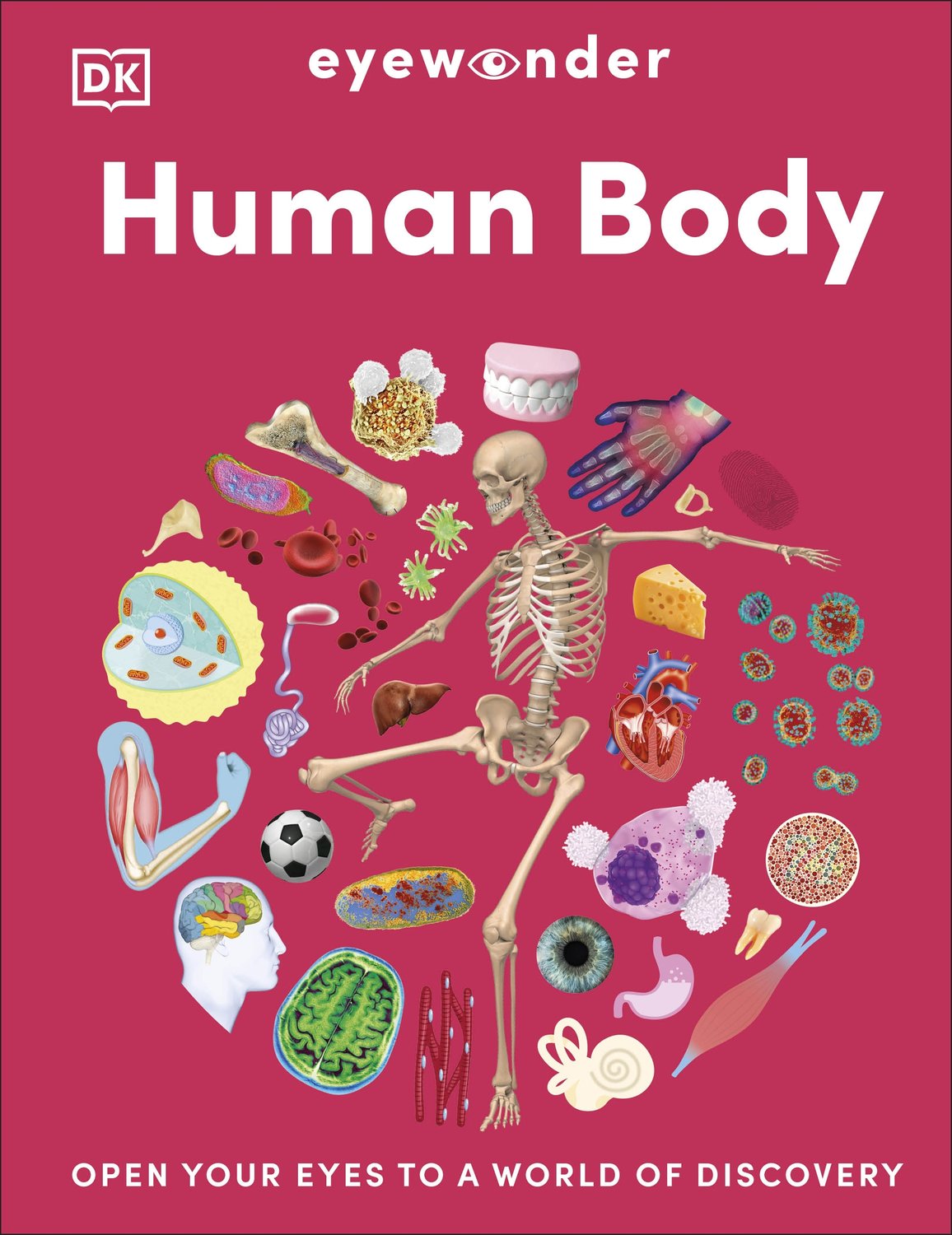 Eyewonder Human Body