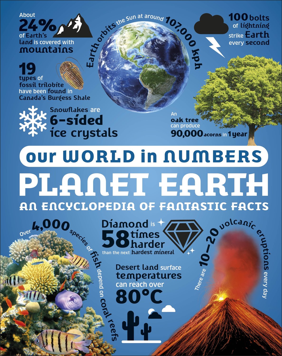 Our World in Numbers Planet Earth