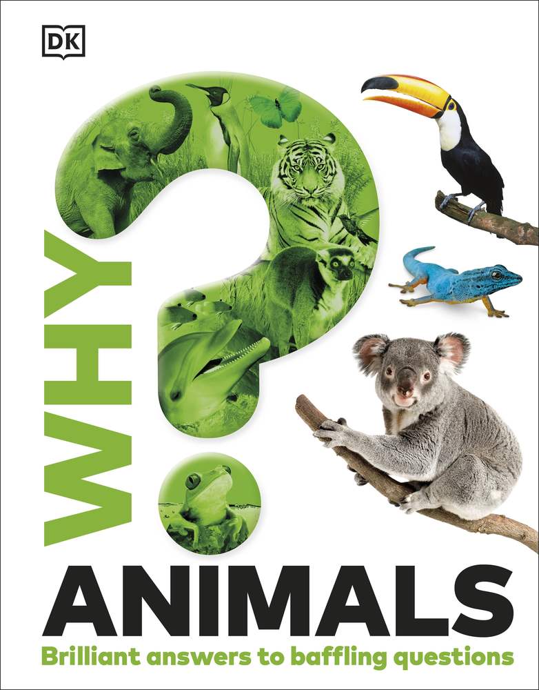 Why? Animals book cover