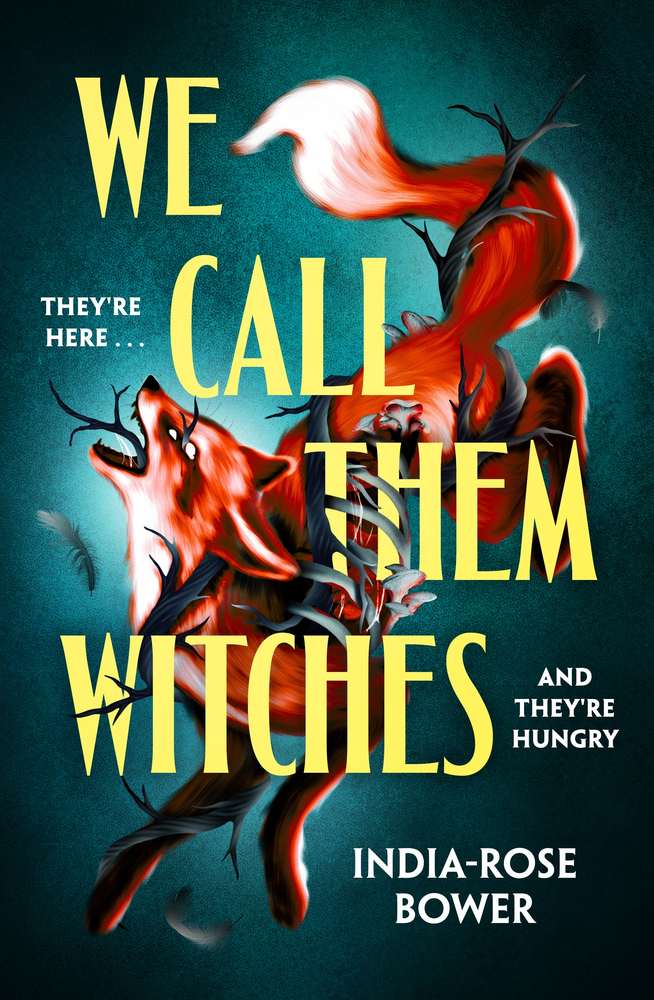 We Call Them Witches book cover