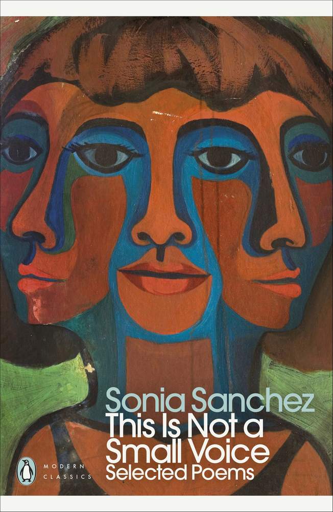 This is not a Small Voice book cover