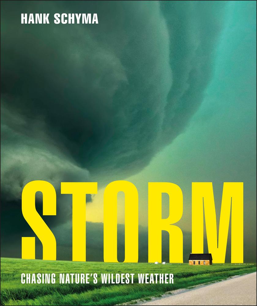 Storm book cover