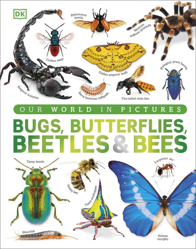 Bugs, Butterflies, Beetles and Bees book cover