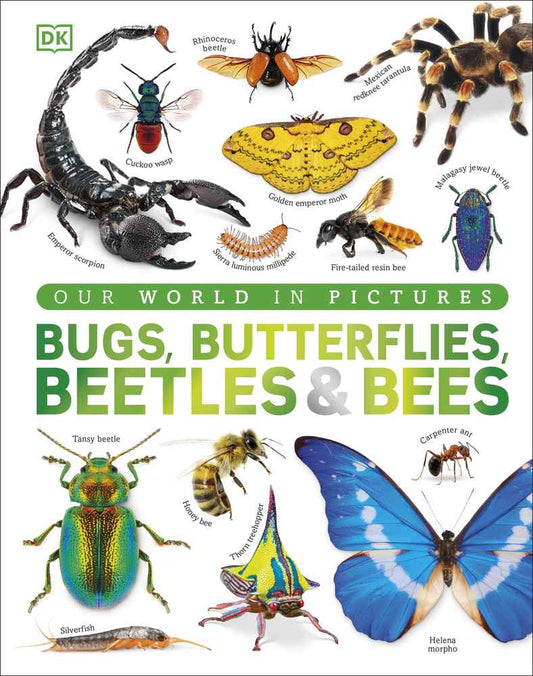 Bugs, Butterflies, Beetles and Bees book cover