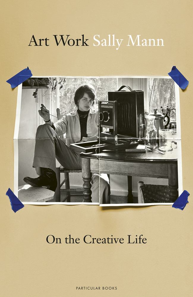 Art Work book cover