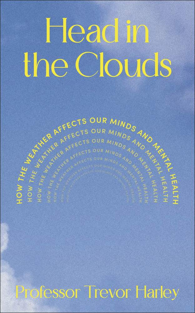 Head in the Clouds book cover