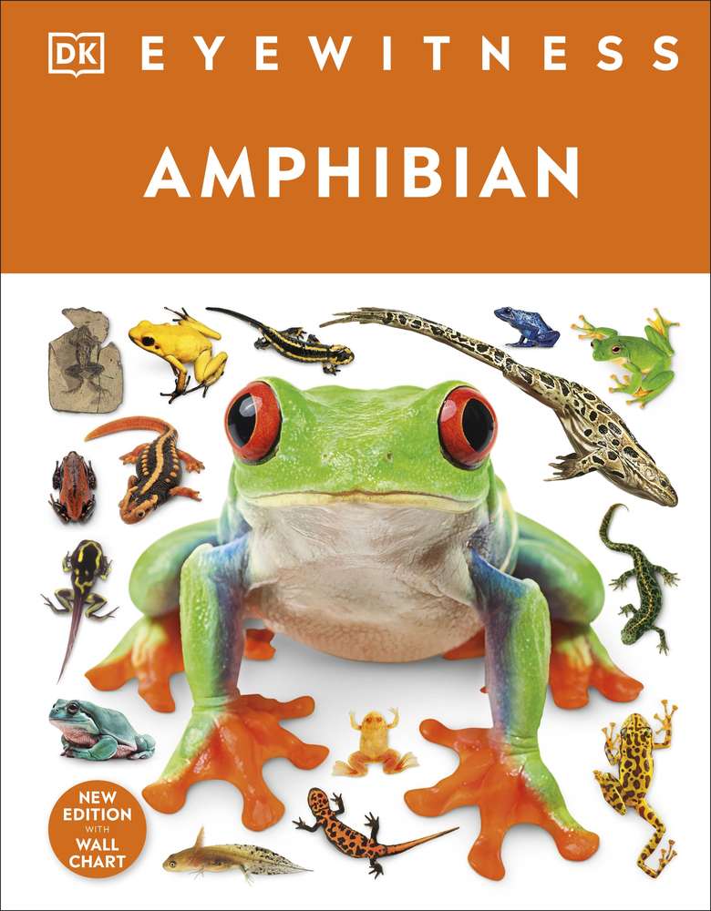 Eyewitness Amphibian book cover
