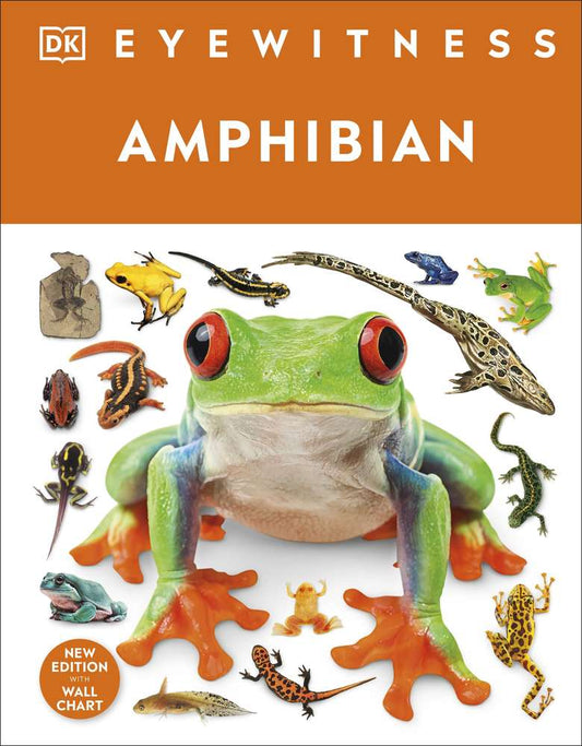 Eyewitness Amphibian book cover