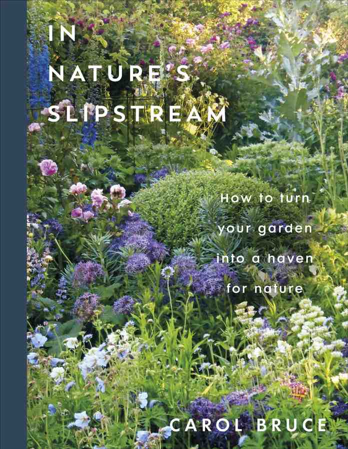 In Nature's Slipstream book cover