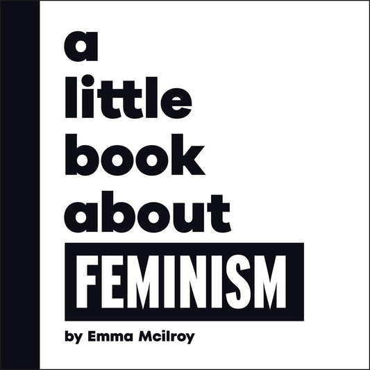 A Little Book About Feminism book cover