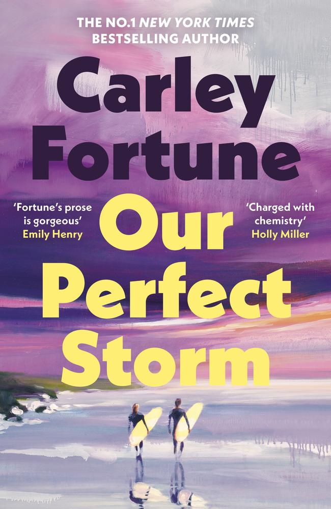 Our Perfect Storm book cover