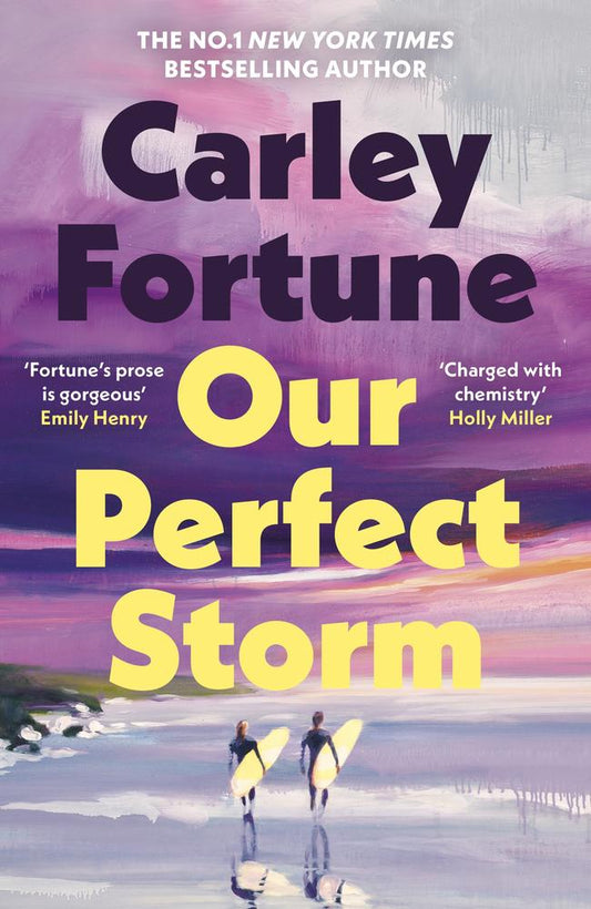 Our Perfect Storm book cover